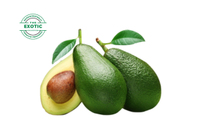 Avocado (Imported) - एवोकाडो - એવોકાડો